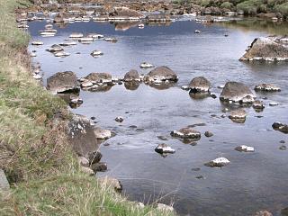 Interesting deposits on boulders in the Linne nam Beathach.