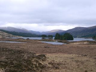 Looking east over L. Ossian.